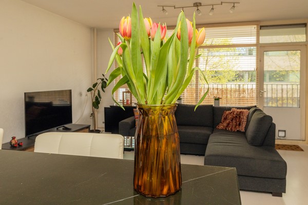 Medium property photo - Delflandseweg 235, 3119 XW Schiedam